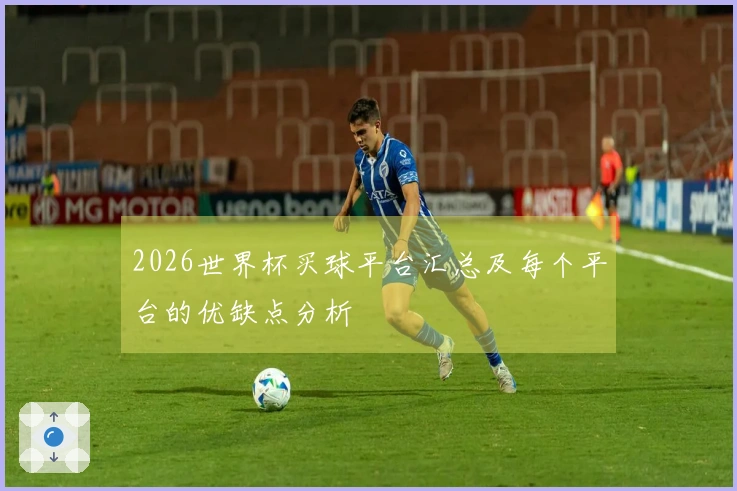 2026世界杯买球平台汇总及每个平台的优缺点分析