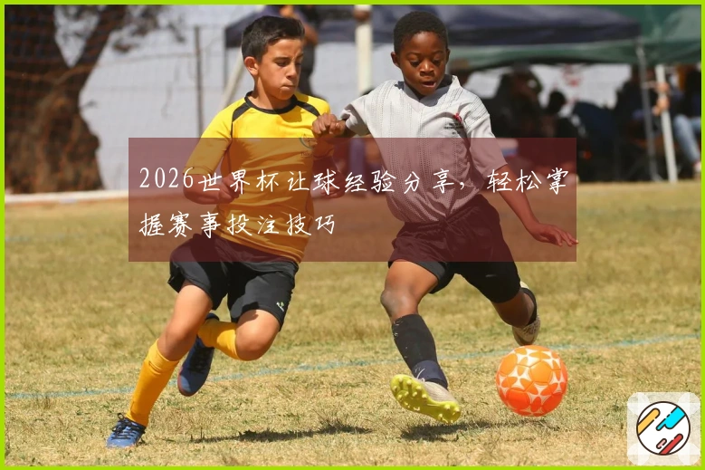 2026世界杯让球经验分享，轻松掌握赛事投注技巧