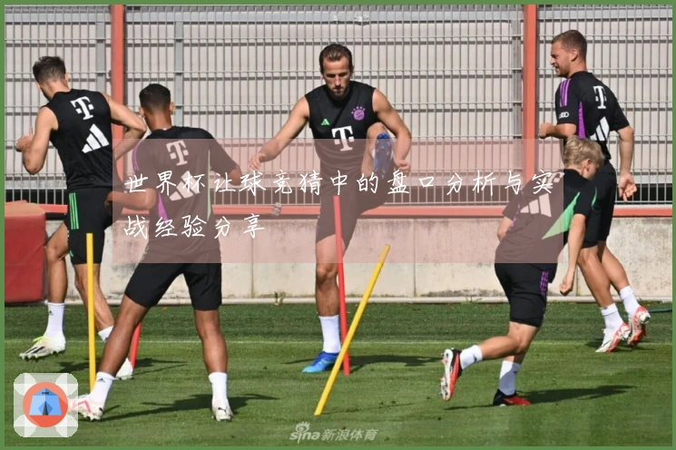世界杯让球竞猜中的盘口分析与实战经验分享