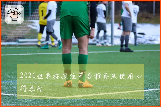 2026世界杯投注平台推荐及使用心得总结