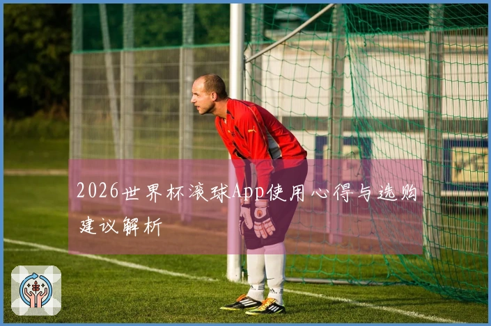 2026世界杯滚球App使用心得与选购建议解析