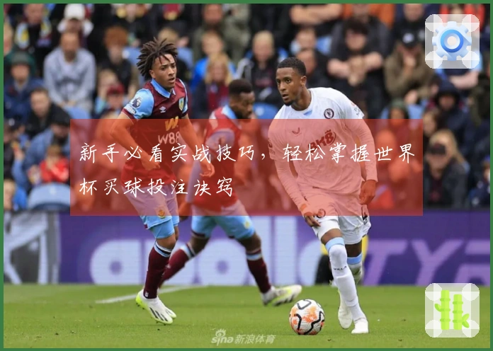 新手必看实战技巧，轻松掌握世界杯买球投注诀窍