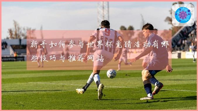 新手如何参与世界杯竞猜活动有哪些技巧与推荐网站