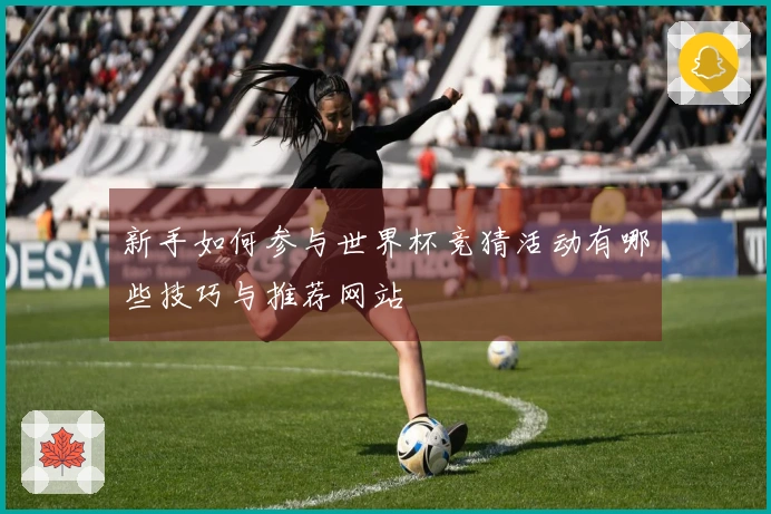 新手如何参与世界杯竞猜活动有哪些技巧与推荐网站