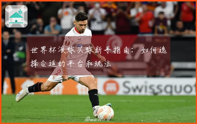 世界杯滚球买球新手指南：如何选择合适的平台和玩法