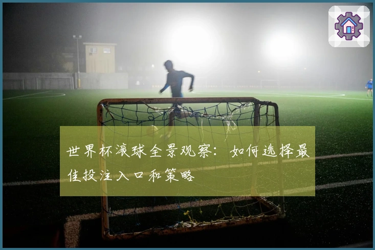 世界杯滚球全景观察：如何选择最佳投注入口和策略