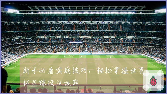 新手必看实战技巧，轻松掌握世界杯买球投注诀窍