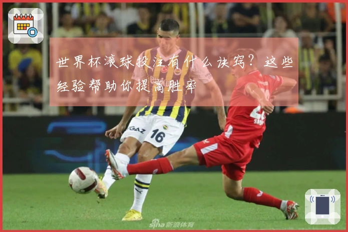 世界杯滚球投注有什么诀窍？这些经验帮助你提高胜率